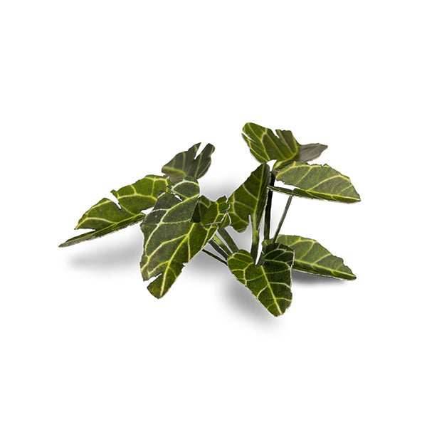 Gamers Grass Laser Plants: Elephant Ear - 