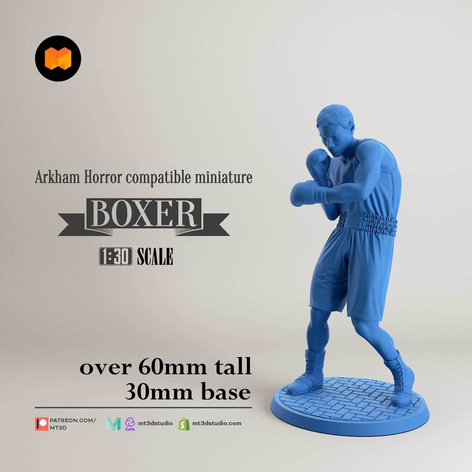 Arkham Compatible Investigator: The Boxer (Nathaniel Cho) - 