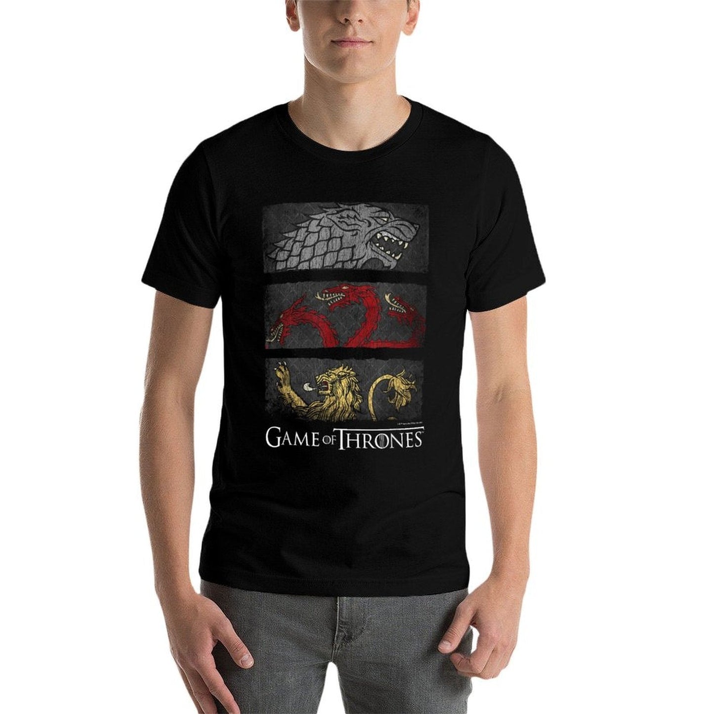 Game of Thrones Sigil Banners  Odor-resistant T-Shirt