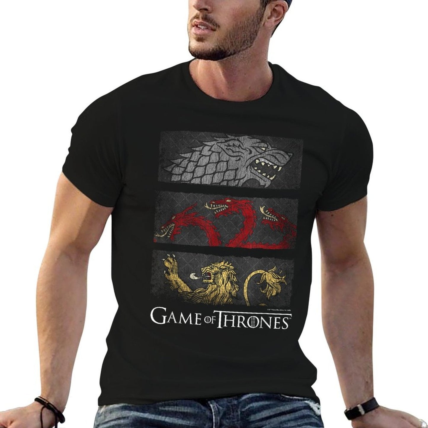 Game of Thrones Sigil Banners  Odor-resistant T-Shirt