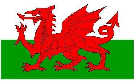 Welsh Dragon Necklace - 18
