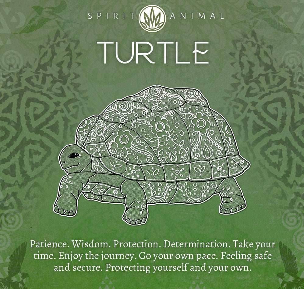 Sea Turtle Necklace - 