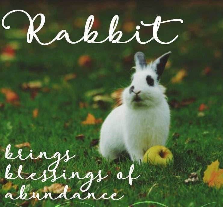 Bunny Love Necklace - 18
