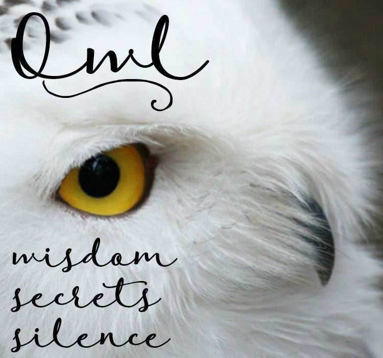 Mystic Owl Necklace - 