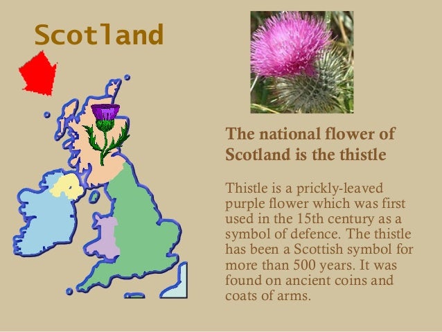 Abhainn Thistle Ring
