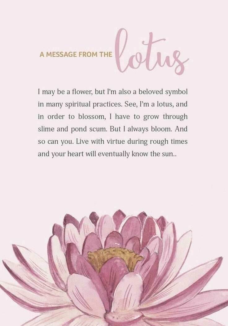 Lotus Blossom Necklace - 18