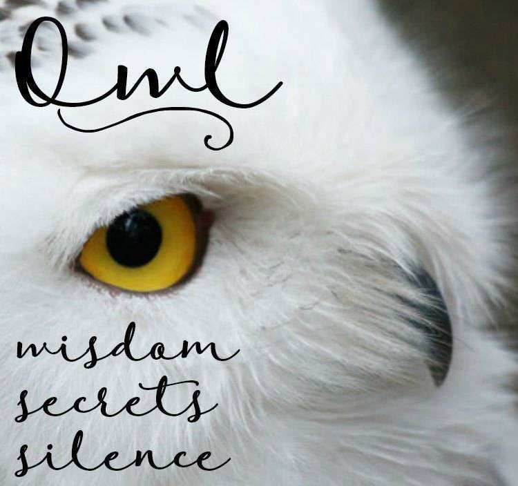 Oona Owl Ring - 5