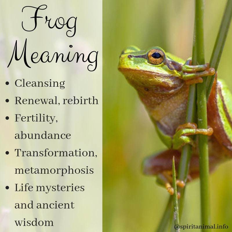 Jumping Frog Necklace - 18