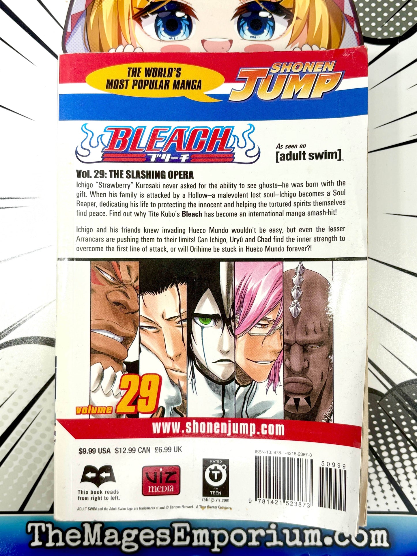 Bleach Vol 29 - 