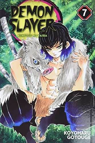 Demon Slayer Vol 7 - 