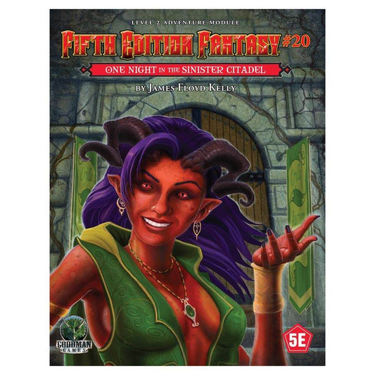 5E Fantasy #20: One Night in the Sinister Citadel - 