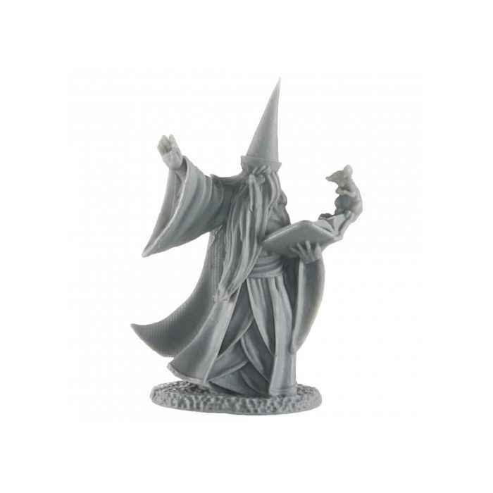Legends: Human Wizard, Darius - 