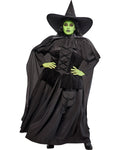 Wicked Witch Wizard Of Oz Adult Costume Plus Size Dress Officially Licensed