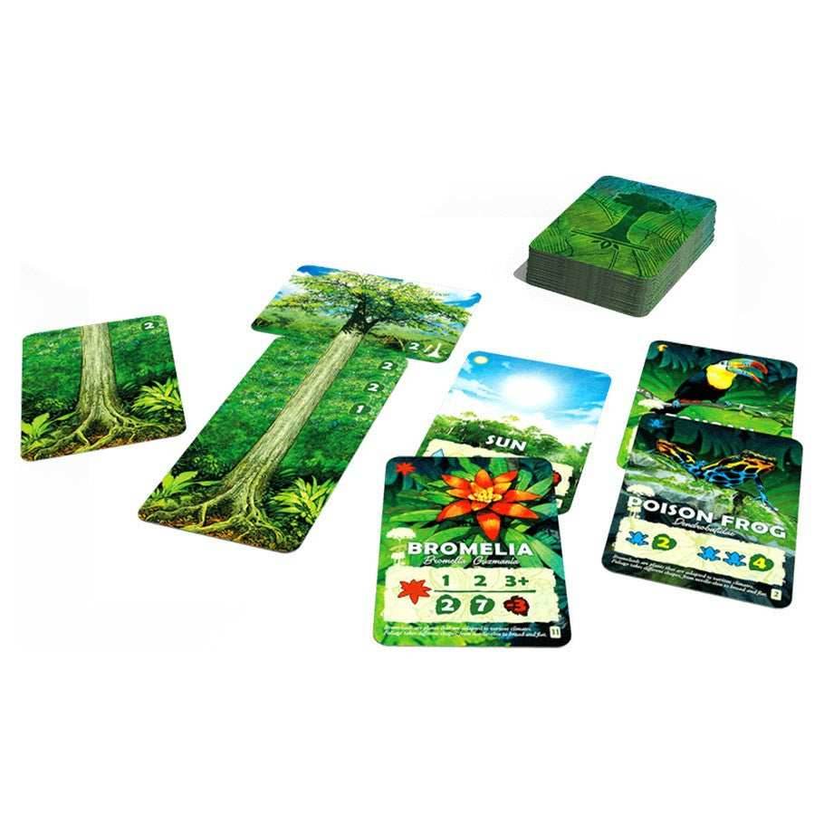 Canopy - 